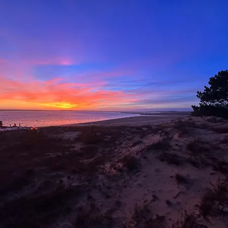 Maison 4 Pers Avec Terrasse - La Palmyre - Fr-1-705-57 Casa vacanze Les Mathes