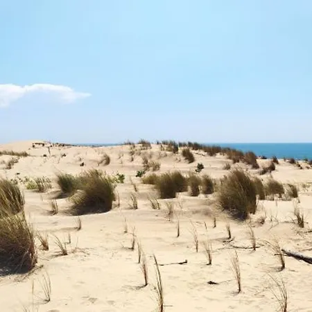 Dom wakacyjny Maison 4 Pers Avec Terrasse - La Palmyre - Fr-1-705-57 Les Mathes